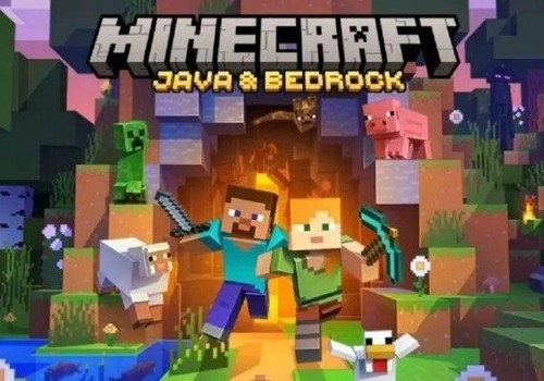 Minecraft java bedrock - java,