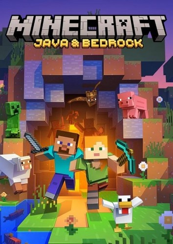Minecraft java bedrock - java,